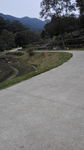 转弯公路