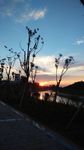 夕阳