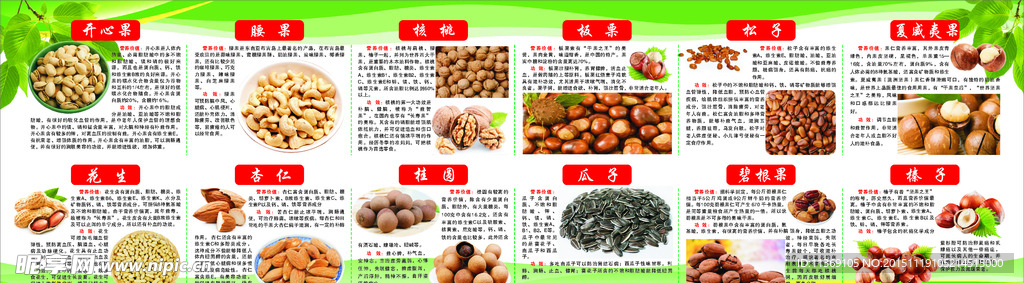坚果干果的介绍