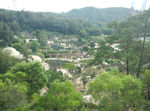 沙生植物区全景