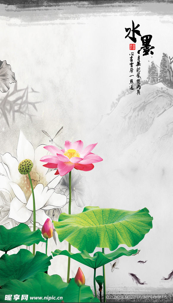 荷花