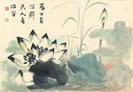 花卉