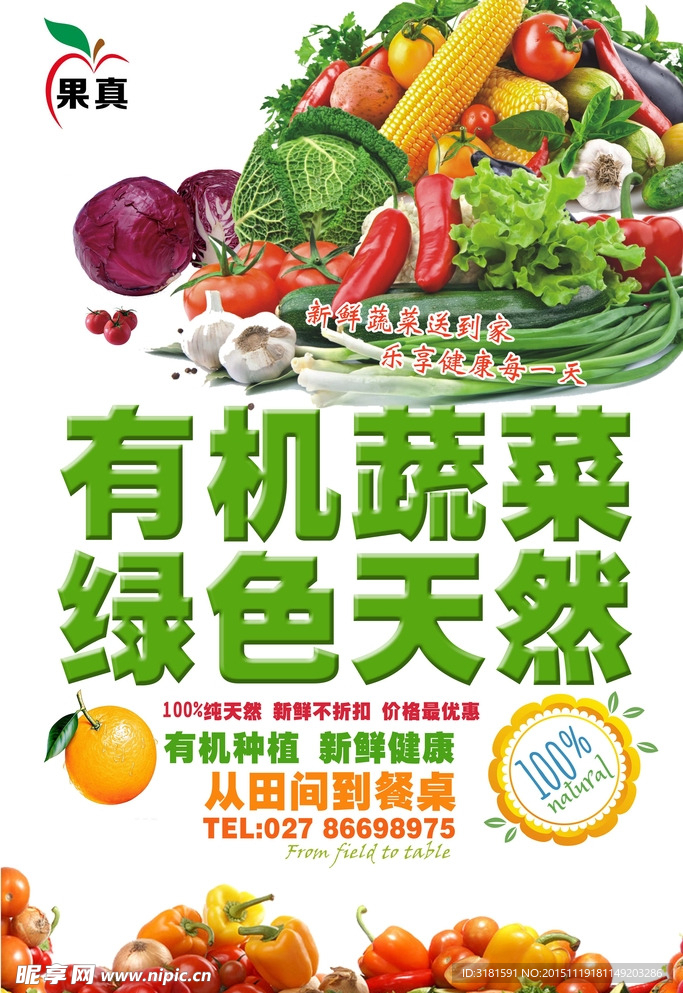 蔬菜海报