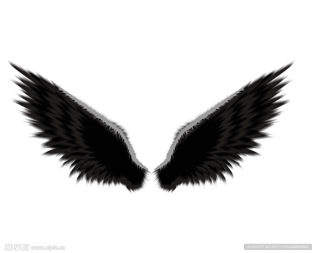 黑色天使翅膀
