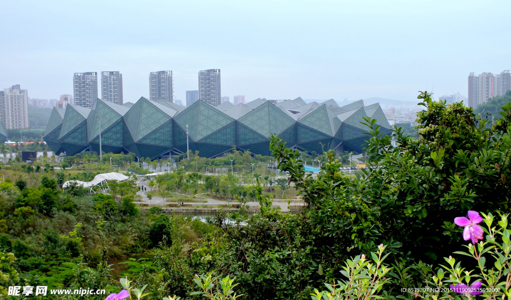 龙岗体育馆
