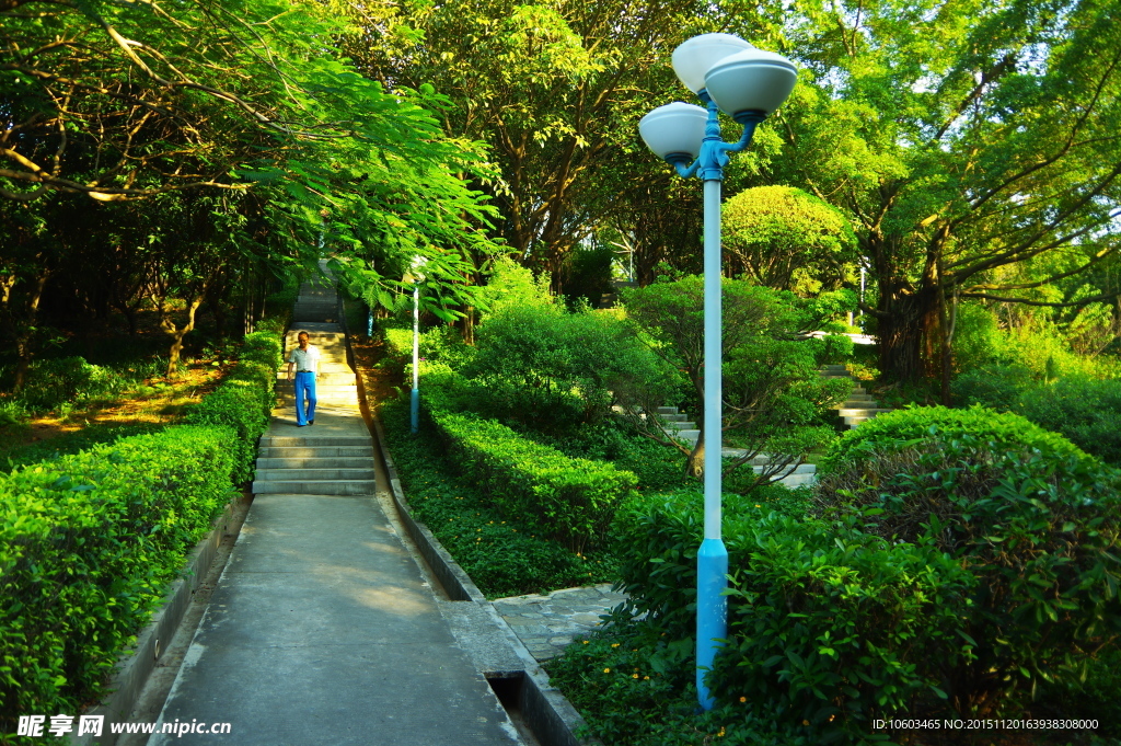 园林山水 登山道路