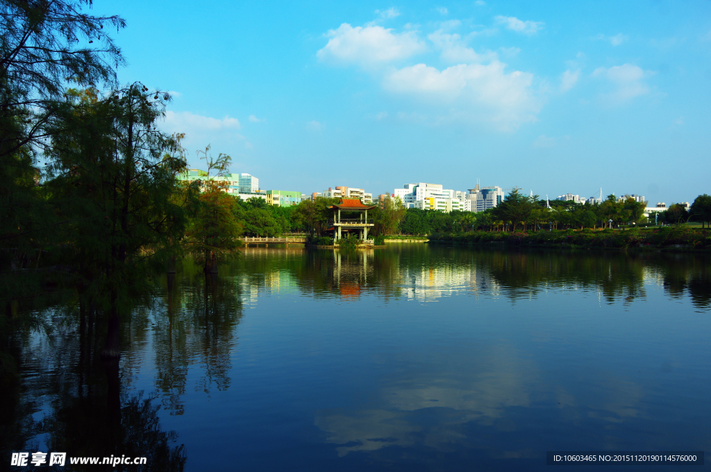 城市风光 龙潭冬景