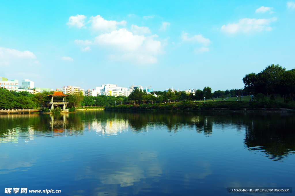 城市风光 龙潭冬景