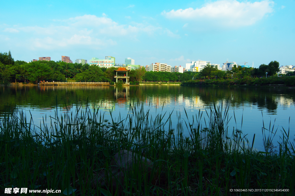 城市风光 园林山水