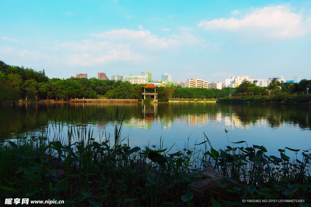 城市风光 园林山水