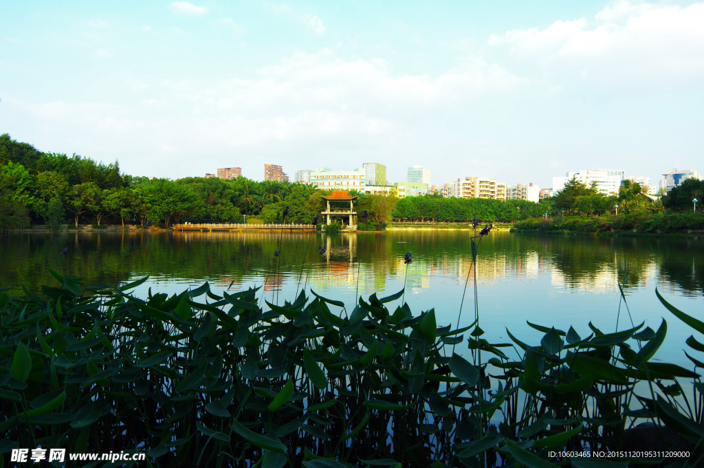 城市风光 园林山水