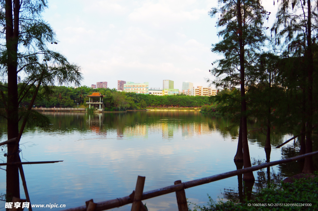 城市风光 龙潭冬景