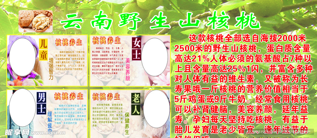 云南野生核桃