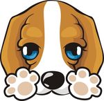 狗