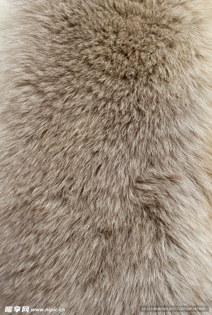 动物毛发纹理背景摄影高清图片