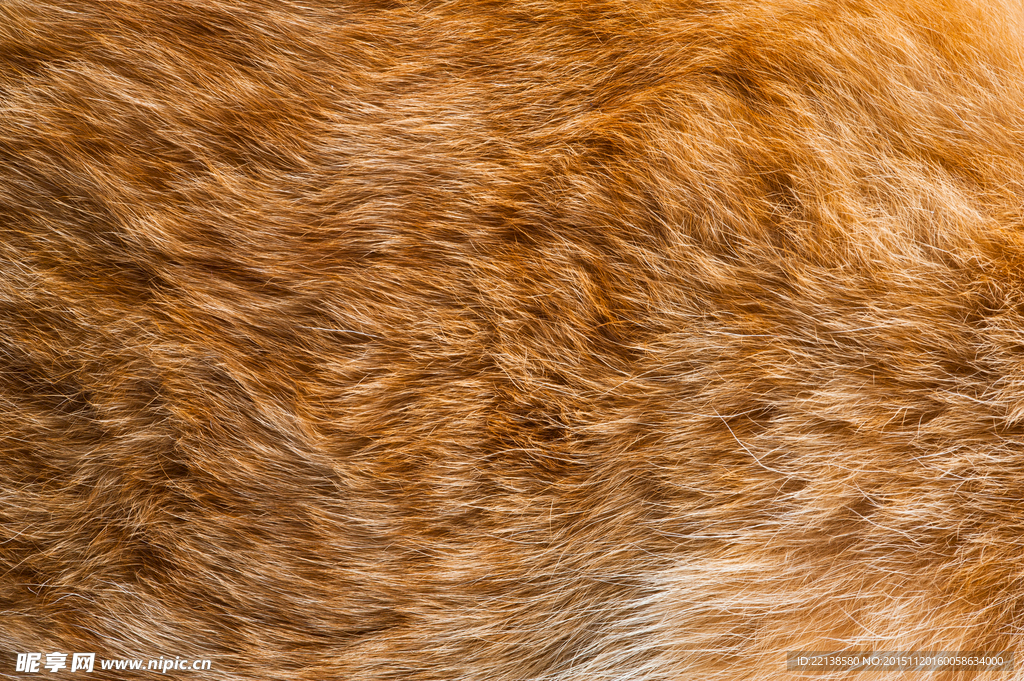动物毛发纹理背景摄影高清图片