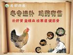 鸡药 进补