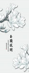 玉兰花开