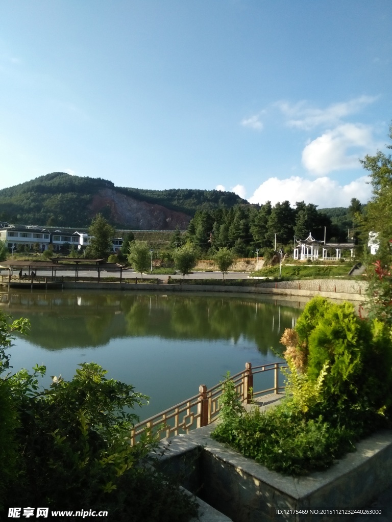 池塘美景