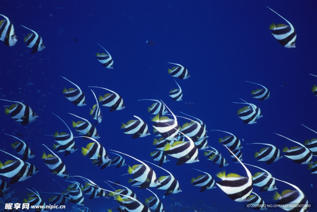海底世界