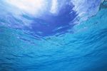 海底世界