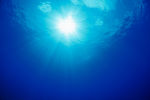 海底世界