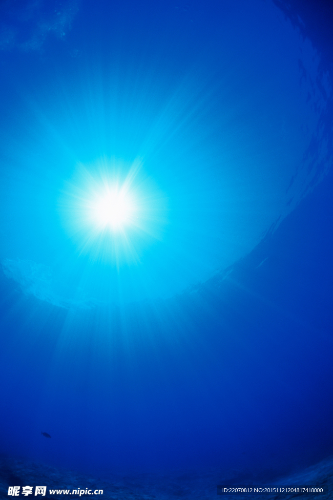 海底世界