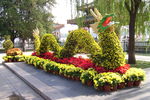 北海公园菊花巨龙
