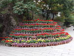 红螺寺花坛