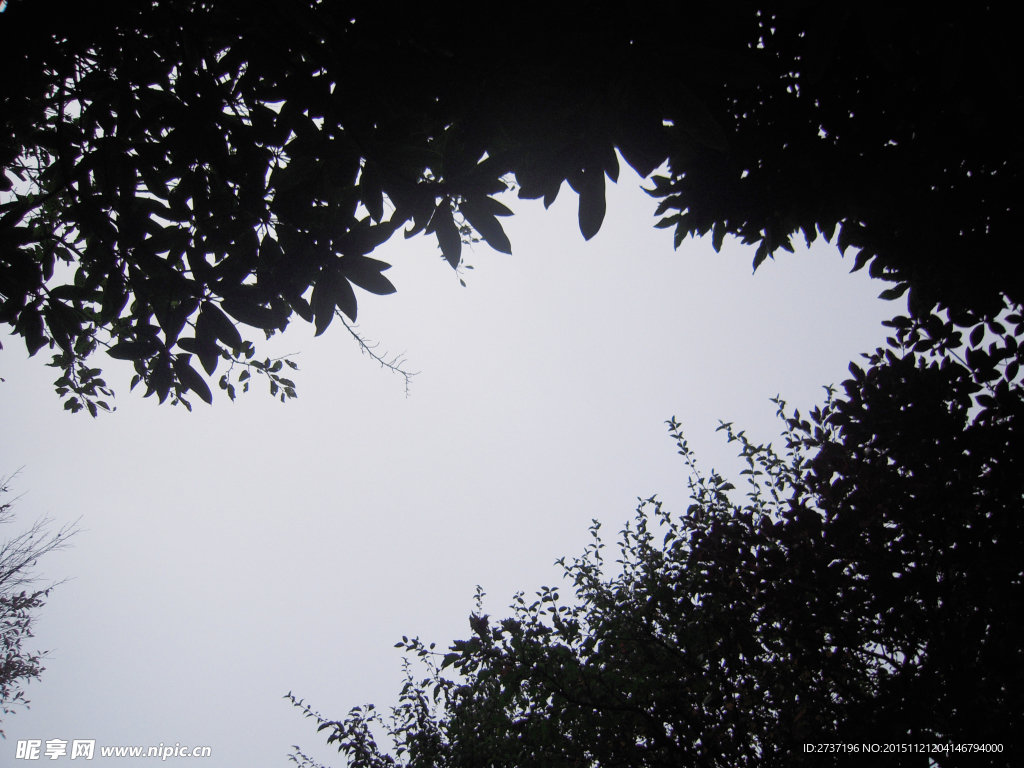 天空
