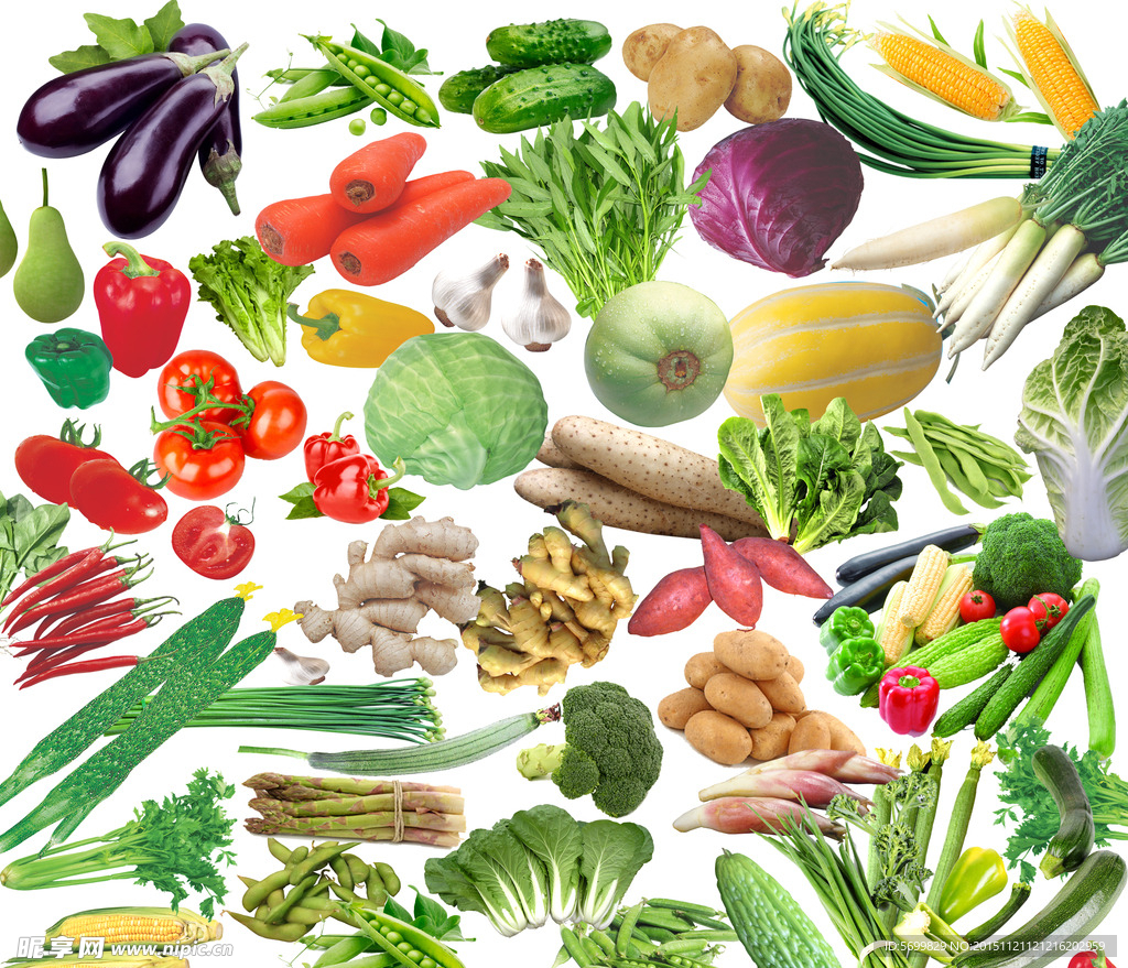 大棚蔬菜种植技术与管理 - 花百科