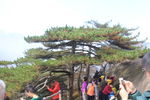 黄山 云海