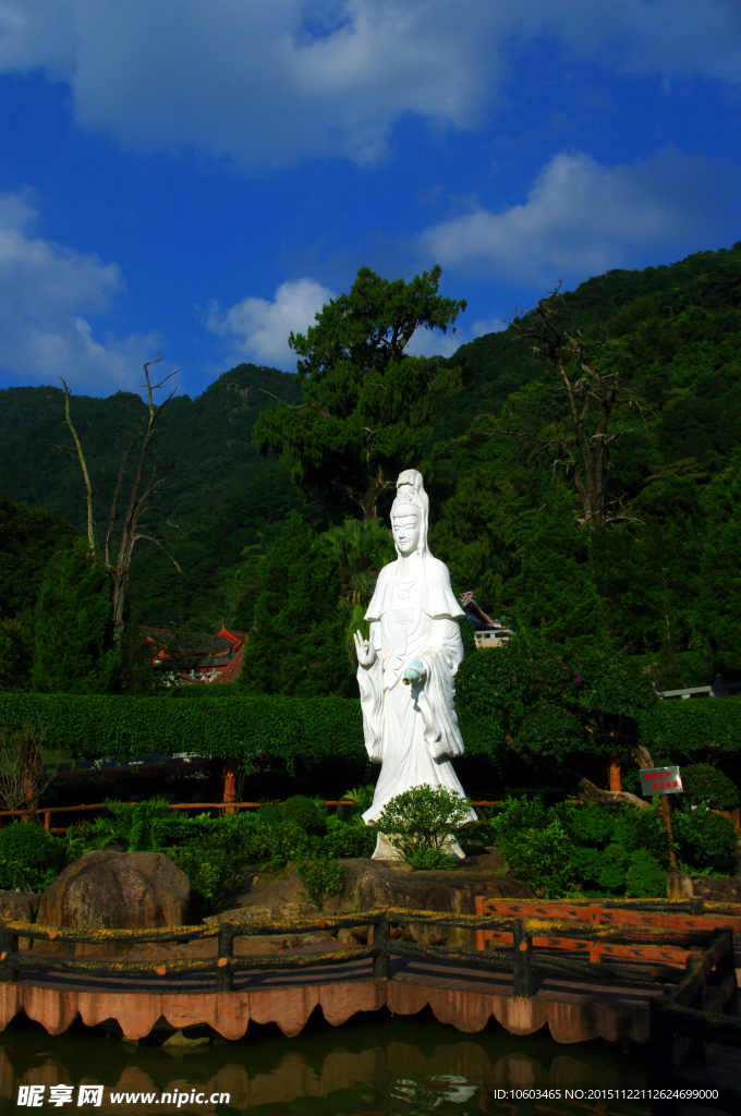 阴那山 生死树