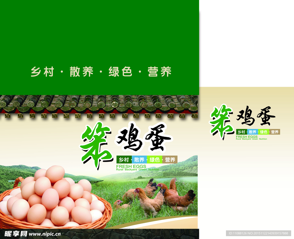 笨鸡蛋