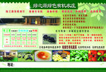 绿之源宣传单