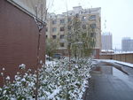 雪融化的路面