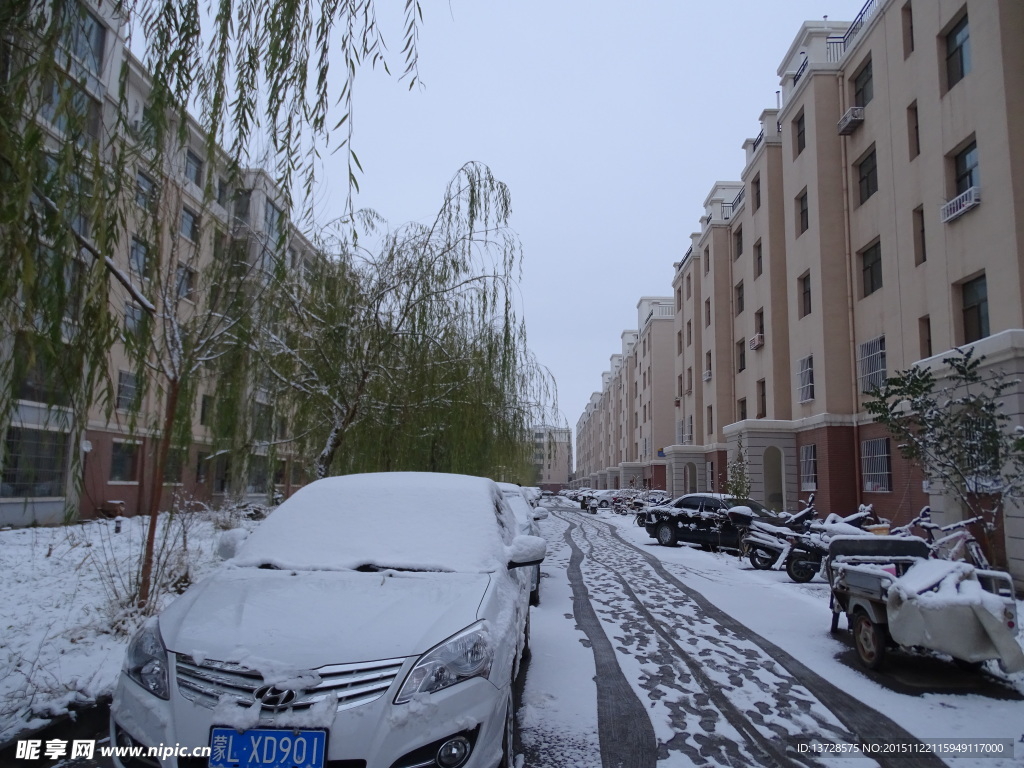 小区雪景