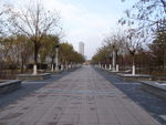 路