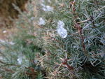 雪融化