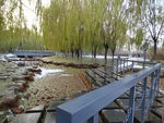 小桥流水