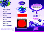 蓝莓汁三折页