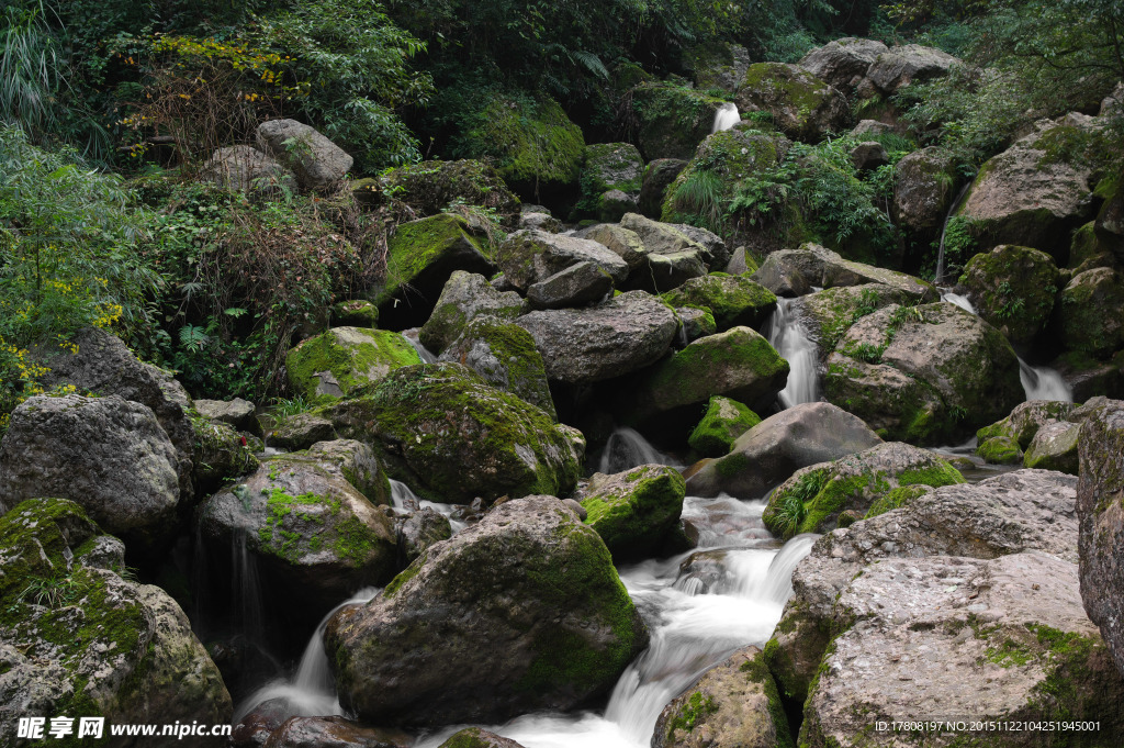 青城山溪水