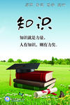 学校文化  校园文化