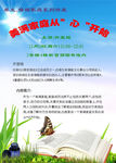 蓝天白云展板