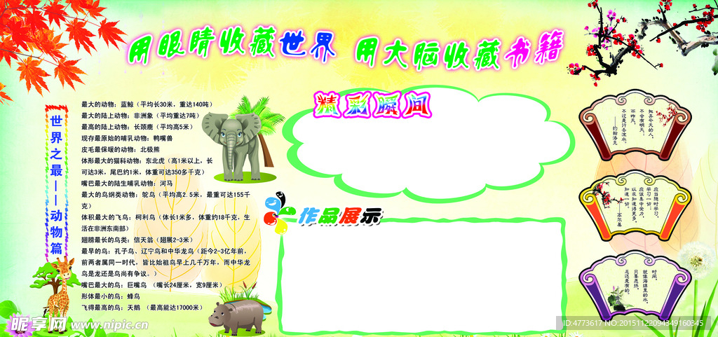 学校展板