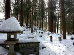 冬日雪景