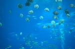 海底世界