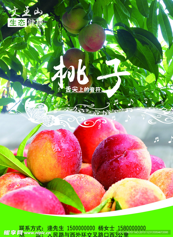 桃子单页