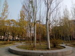 辽宁大学
