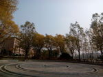 辽宁大学